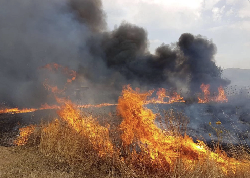 Incendi in Sicilia, fuoco nel Palermitano e nel Ragusano