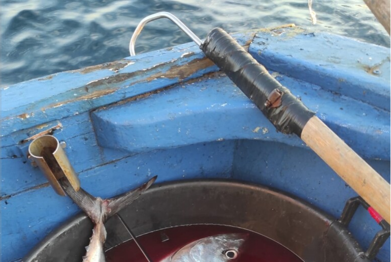 Guardia costiera di Catania sequestra 2 tonnellate di prodotti ittici
