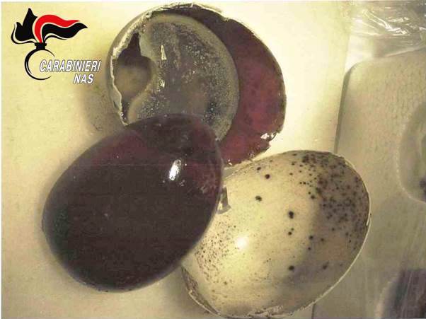 Catania, il Nas sequestra 800 uova d'anatra cinesi