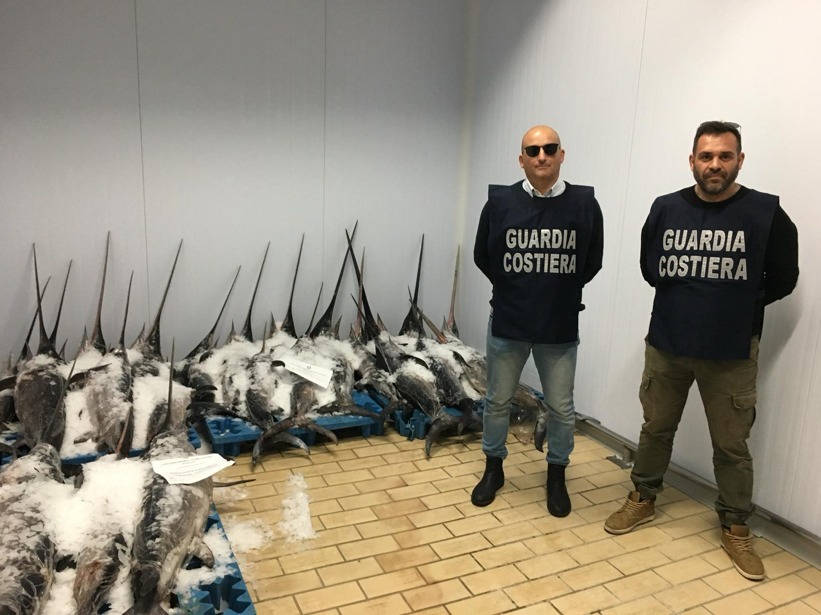 Sequestrati a Pozzallo 460 chili di pesce spada: era arrivato da Malta