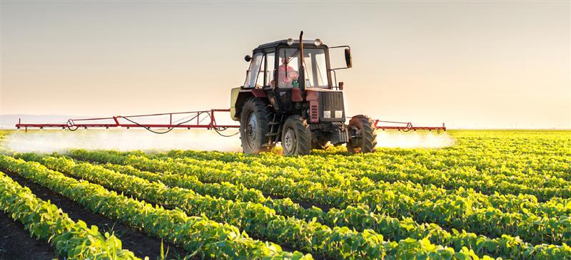 Agricoltura, Cia: "3.000 aziende a rischio chiusura per burocrazia"