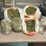 Gli trovano in casa 10 chili di marijuana: arrestato a Reggio Calabria